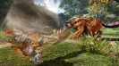 Náhled k programu Monster Hunter Online